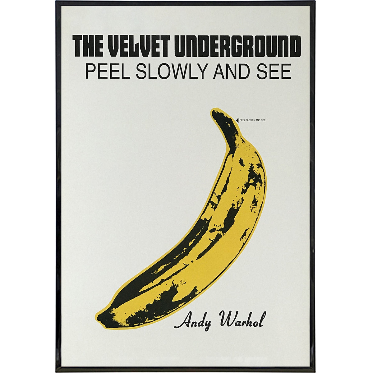 The Velvet Underground Poster Print – Shady Front