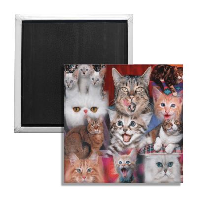 Happy Cats Fridge Magnet - Shady Front