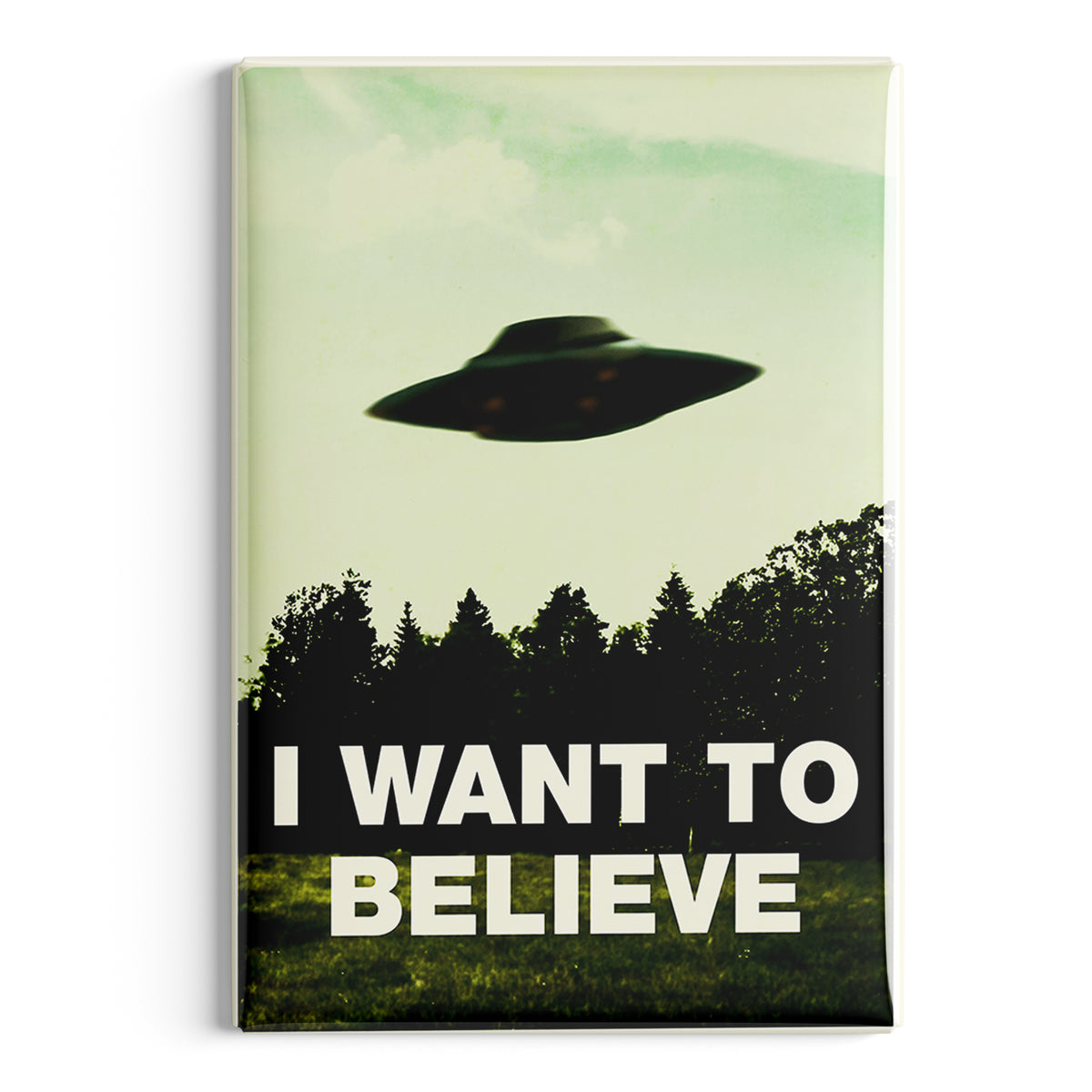 Wholesale I Want to Believe Fridge Magnet - Shady Front