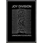 Joy Division Show Poster Print