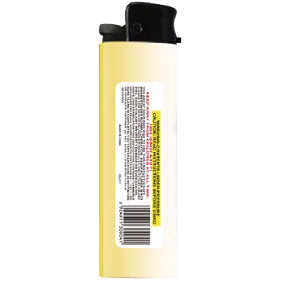 License Plate "FCK-OFF" Lighter - Shady Front