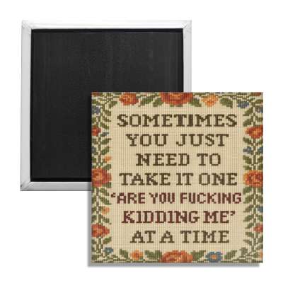 One "Are You F--king Kidding Me" at a Time Fridge Magnet - Shady Front