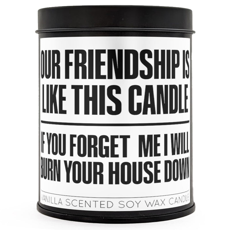 Our Friendship is Like This Candle Scented Candle Wholesale Supplier - Shady Front
