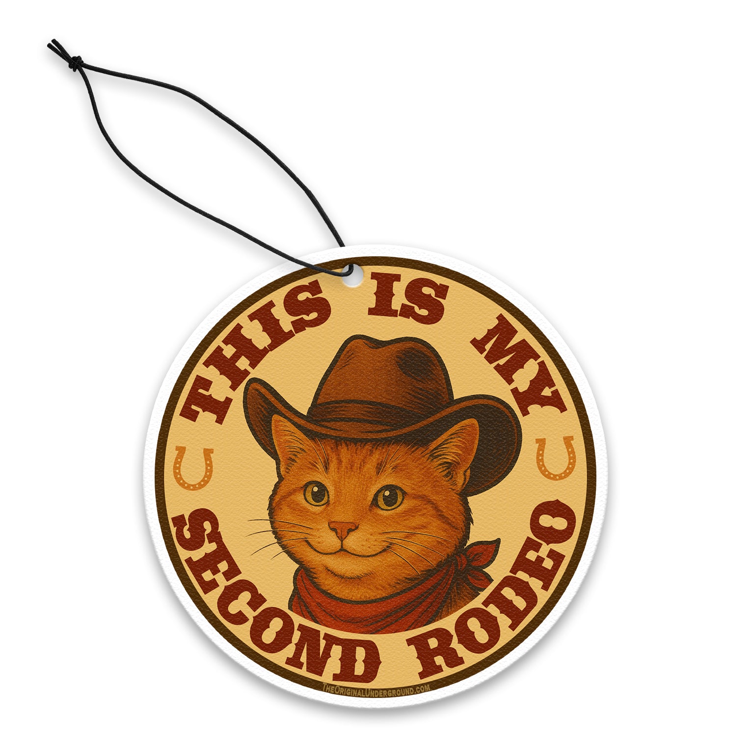 This Is My Second Rodeo Air Freshener - Shady Front