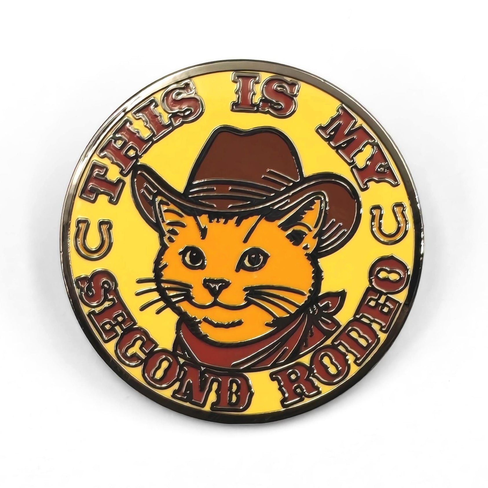 Wholesale This is My Second Rodeo Enamel Pin - Shady Front