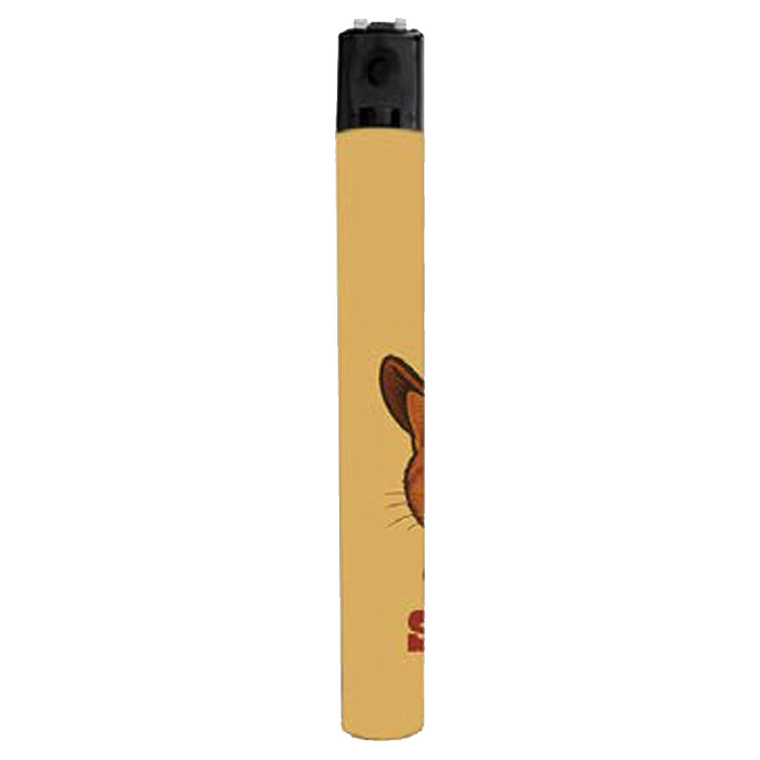 This is My Second Rodeo Lighter - Shady Front
