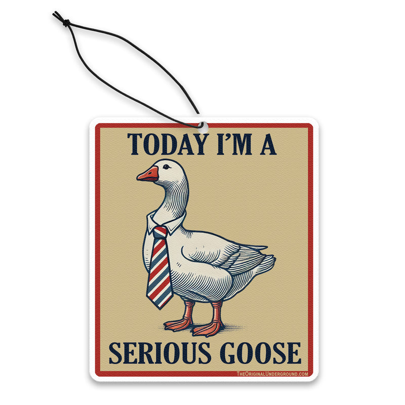 Today I'm a Serious Goose Air Freshener Wholesale Supplier - Shady Front