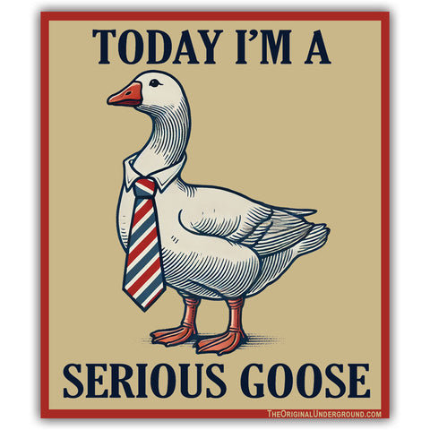 Today I'm a Serious Goose Sticker