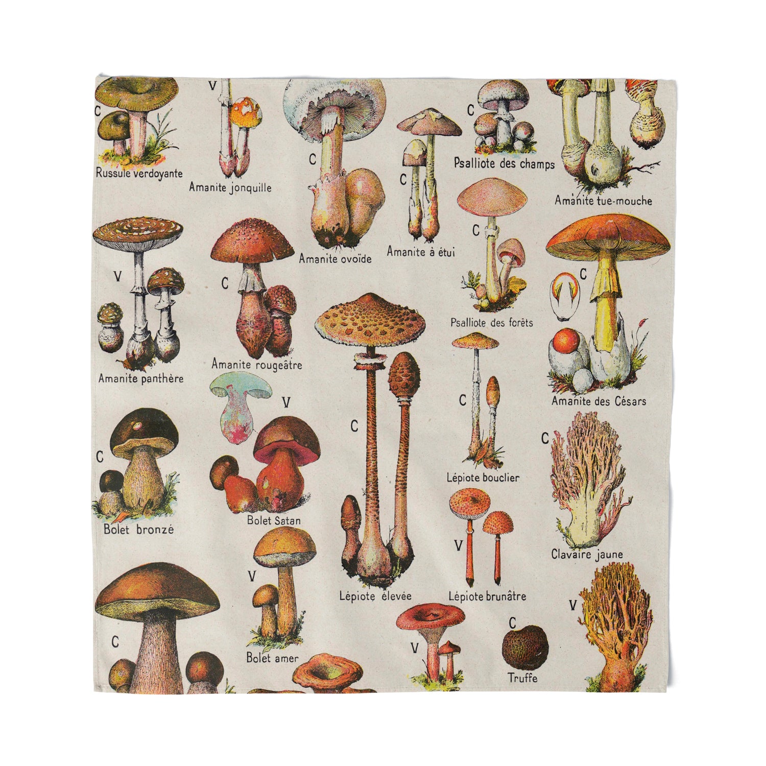 Vintage Mushroom Bandana - Shady Front