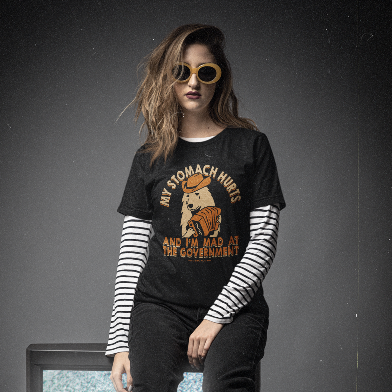 My Stomach Hurts and I'm Mad at the Government T-Shirt - Shady Front