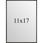 11 x 17 Print Frame - Shady Front