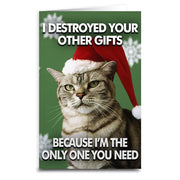Cat Destroyed the Gifts Greeting Card - Shady Front