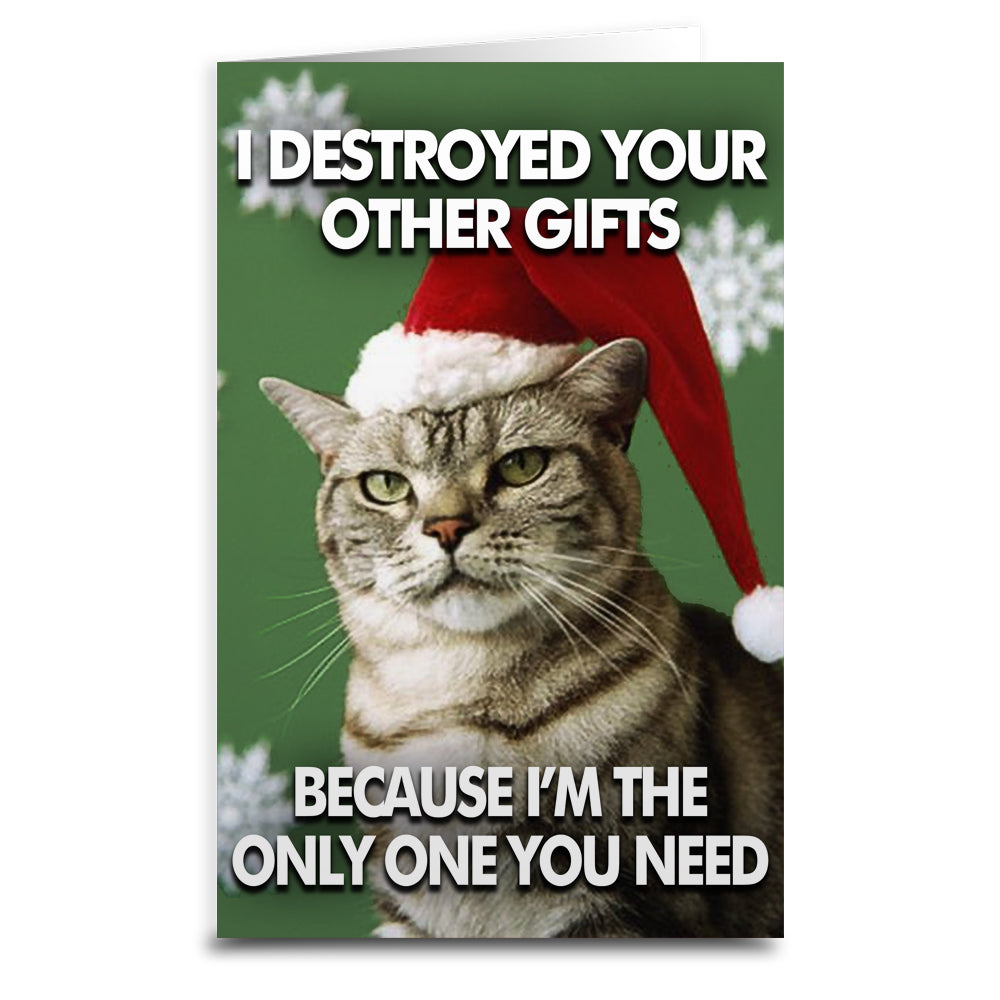Cat Destroyed the Gifts Greeting Card - Shady Front